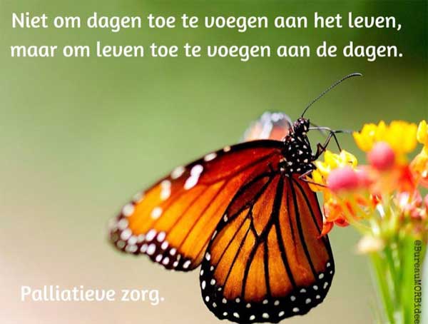 Palliatieve zorg